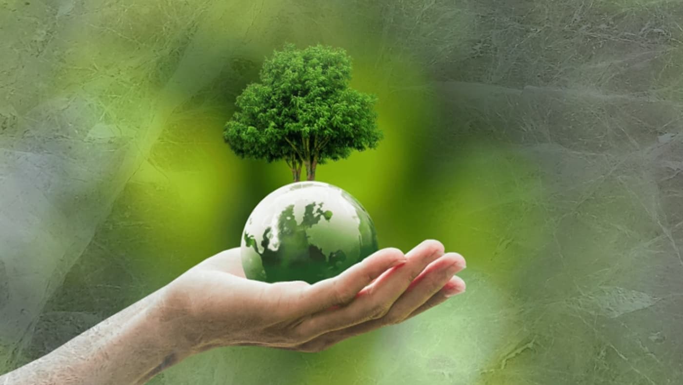 Pluto Enerji sustainability hero background